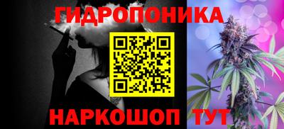 скорость Шелехов