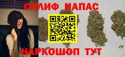скорость Шелехов