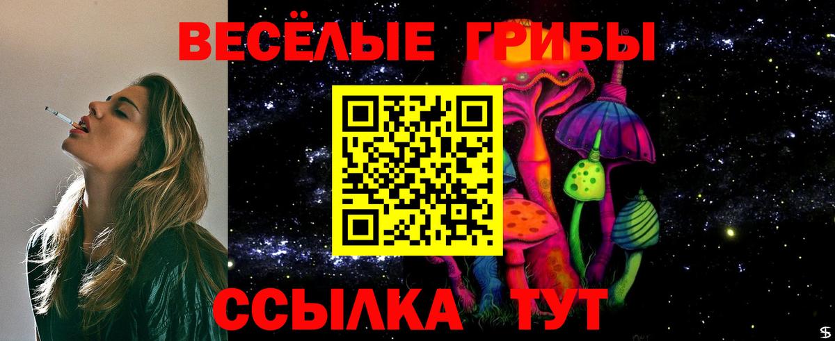 где можно купить наркотик  Галлюциногенные грибы ЛСД  Вход с VPN  Георгиевск 